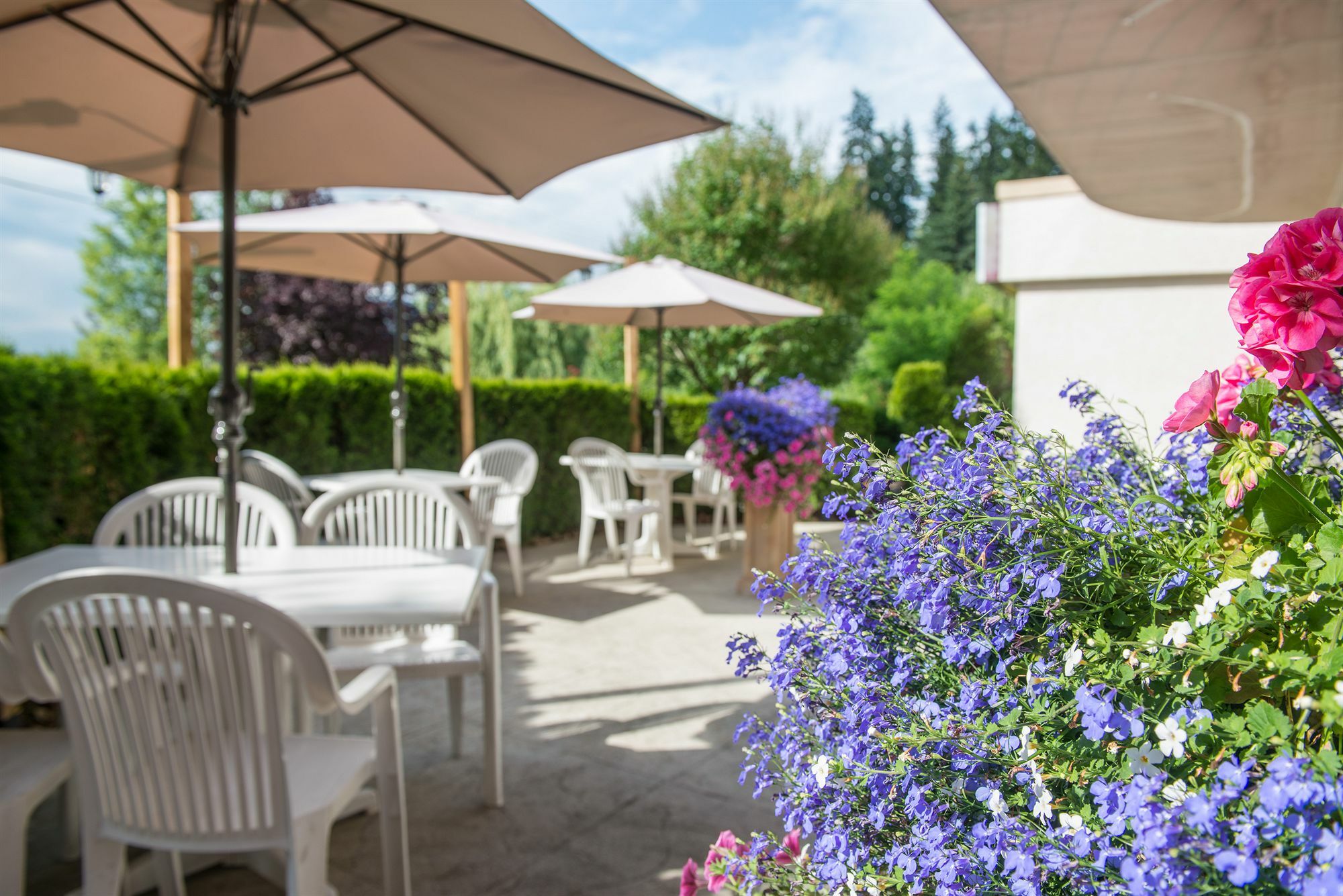 Hilltop Inn - Salmon Arm Exteriér fotografie